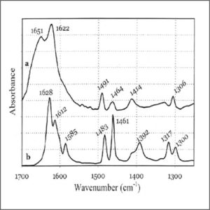 FTIR2