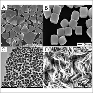 Scanning electron microscope (SEM)