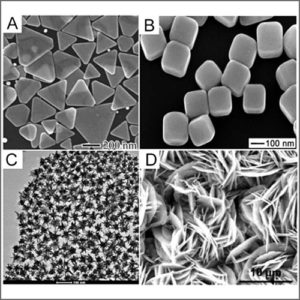 Scanning electron microscope (SEM)