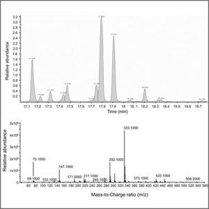 Gas Chromatography - Mass Spectrometry (GC-MS)