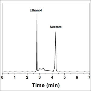 Gas Chromatography (GC)