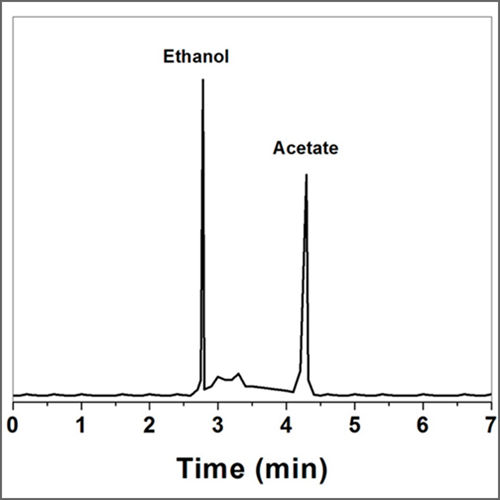 Gas Chromatography with FID/TCD/MS Detectors CET Scientific Services