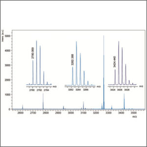 Liquid Chromatography - Mass Spectrometry (LC-MS)