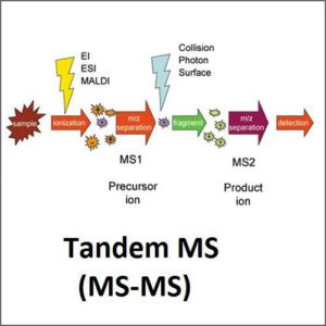 Liquid Chromatography - Mass Spectrometry (LC-MS)