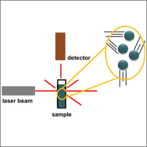 Laser Light Scattering (LLS)