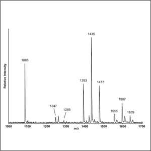 Mass Spectrometry (MALDI-TOF-MS)