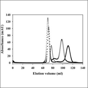 size-exclusion-chromatography1