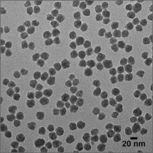 Transmission Electron Microscope (TEM)