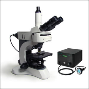 Fluorescence Microscope