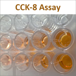 Cell Counting Kit-8 Assay (CCK-8)