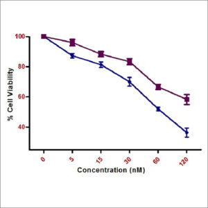 MTT Assay