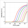 Real-time polymerase chain reaction