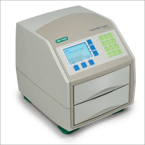 Wes Machine Western Blot – CET Scientific Services Pte Ltd